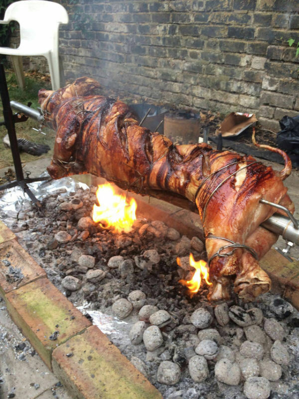 XXL King Size Pig Lamb Rotisserie ROTISSERIE Store