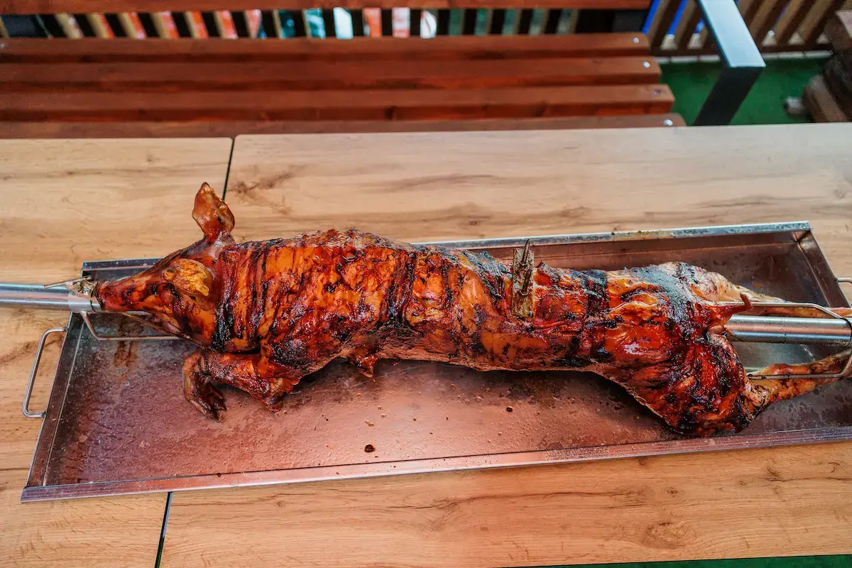 Perfectly roasted whole pig on a rotisserie with crispy skin and an internal temperature nearing ideal pull-apart tenderness.