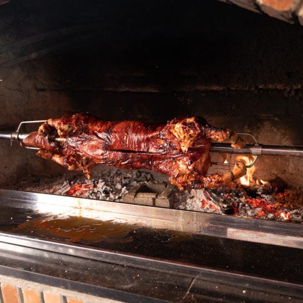Firepit Spit Roaster